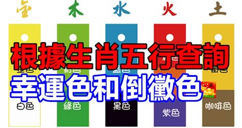 八字五行顏色|根據生肖五行查詢幸運色和倒霉色